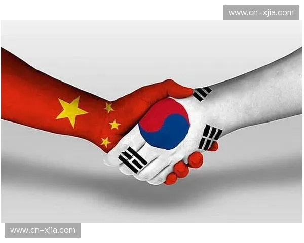 龙腾虎跃，韩流不止：中韩数字经济的精彩对决与融合之路